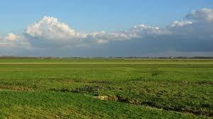 polder